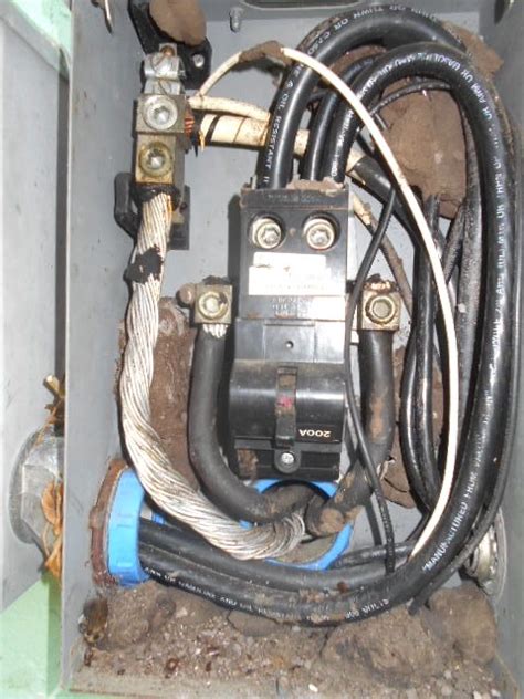 filling space around external electric box to keep insects out|electrical panel box wasps.